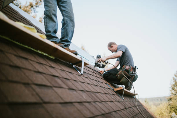 Best Roof Waterproofing Services  in Strawberry Point, IA
